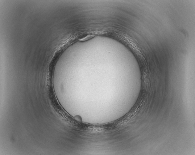 X0000115820354200912041632