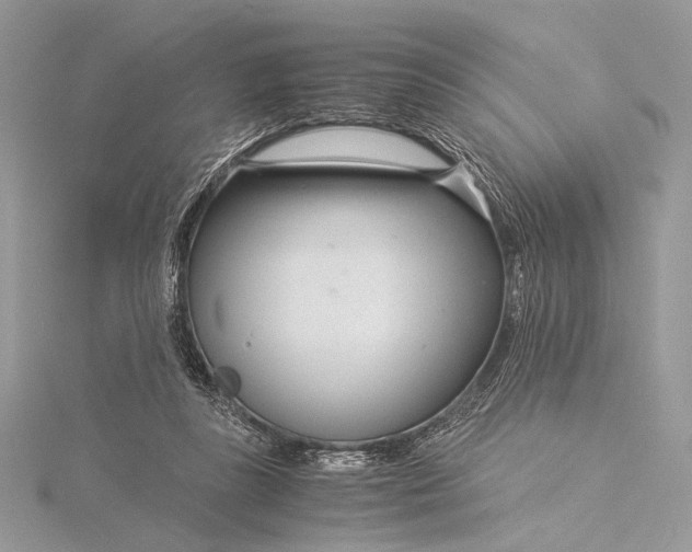 X0000115820355200912041632