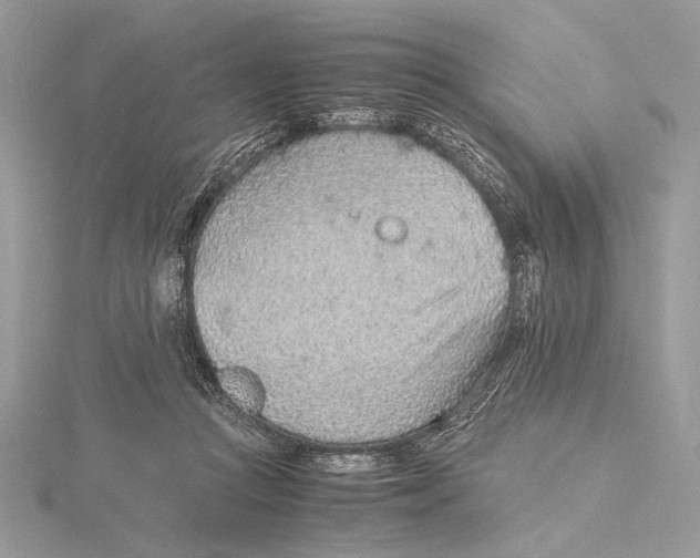 X0000115820361200912041632