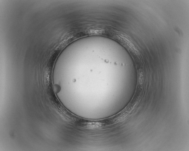 X0000115820363200912041632