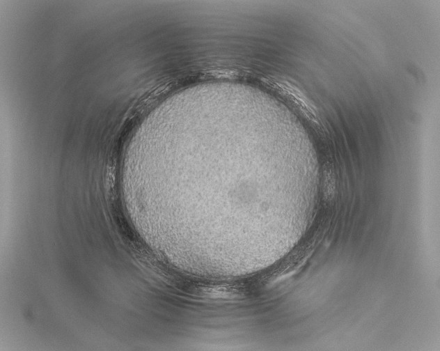 X0000115820365200912041632