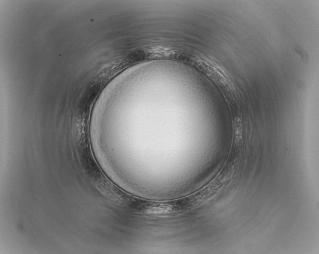 X0000115820369200912041632