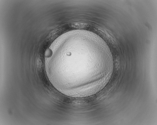 X0000115820371200912041632