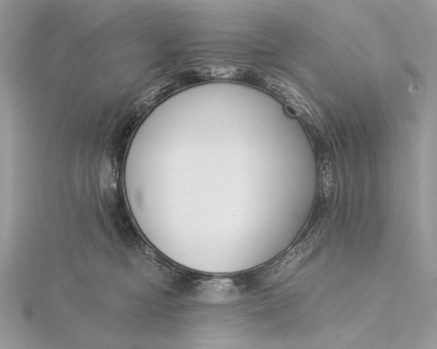 X0000115820374200912041632