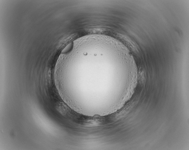 X0000115820381200912041632