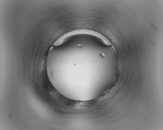 X0000115820382200912041632