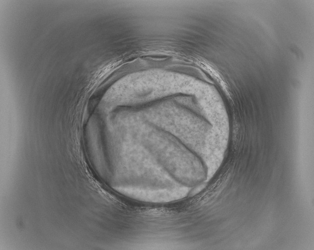 X0000115820385200912041632