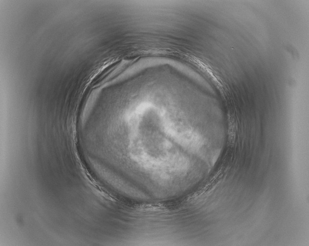 X0000115820386200912041632