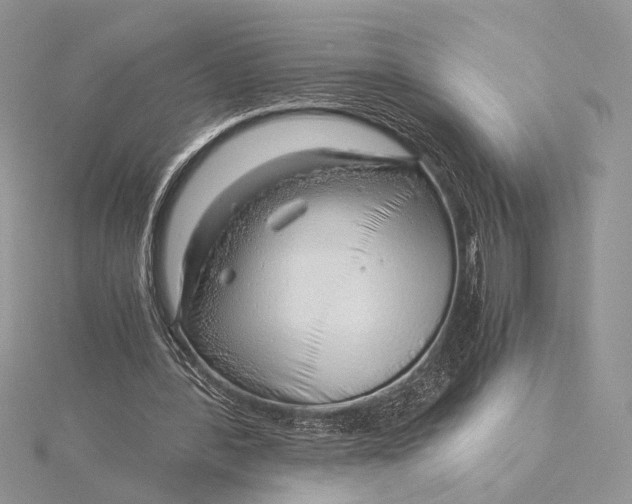 X0000115820388200912041632