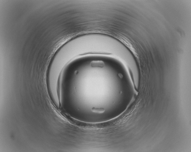 X0000115820389200912041631