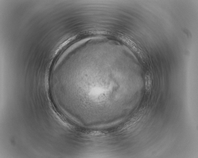 X0000115820390200912041631