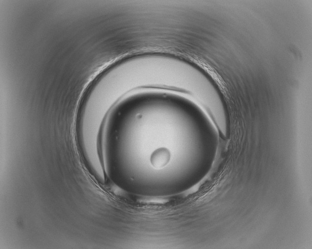 X0000115820391200912041631