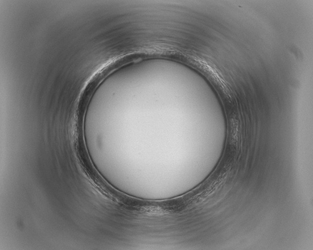 X0000115820392200912041631