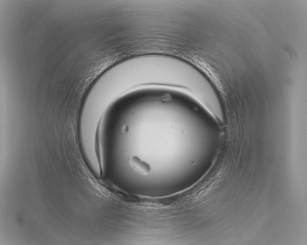 X0000115820393200912041631