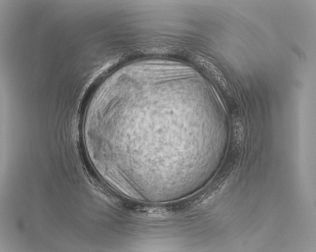 X0000115820395200912041631