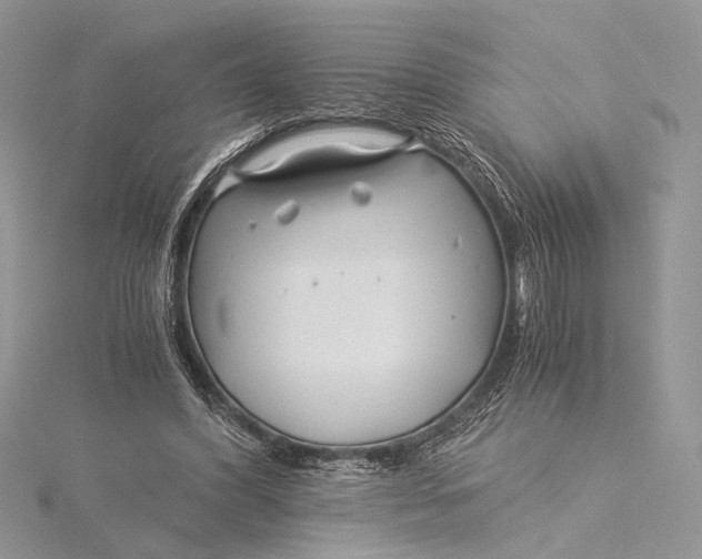 X0000115820396200912041631