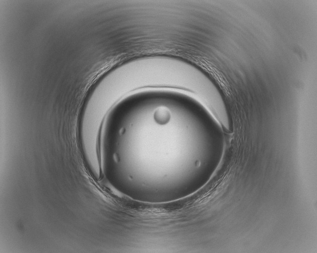 X0000115820397200912041631