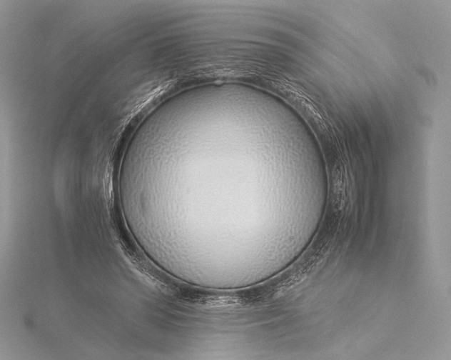 X0000115820398200912041631