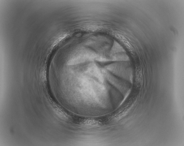 X0000115820399200912041631