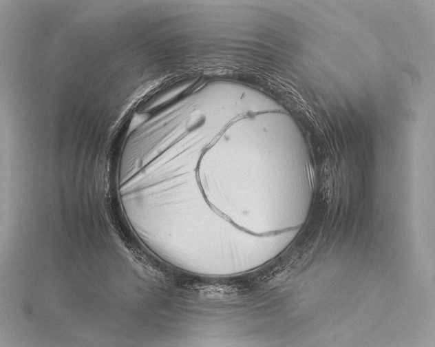 X0000115820400200912041631