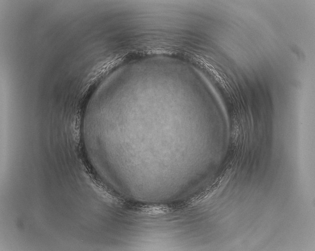 X0000115820402200912041631