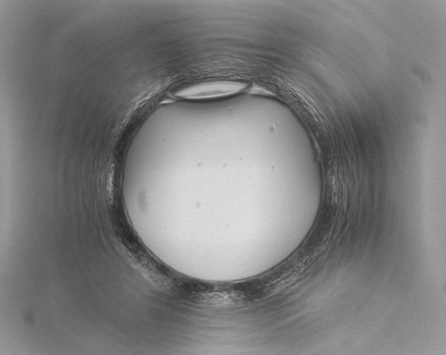 X0000115820404200912041631