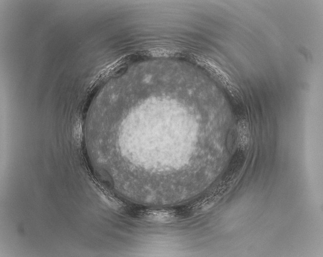 X0000115820405200912041631