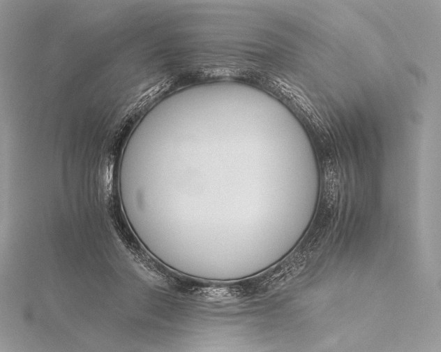 X0000115820406200912041631