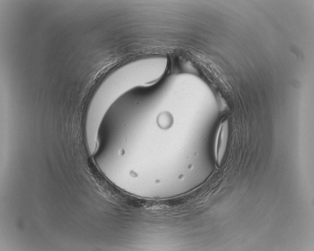 X0000115820407200912041631