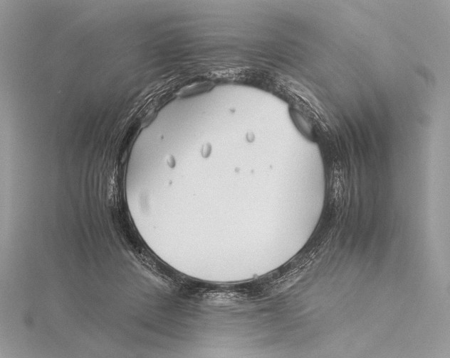 X0000115820408200912041631