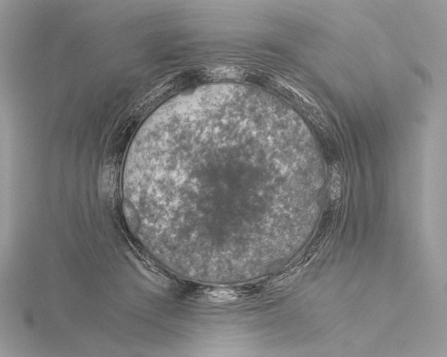 X0000115820409200912041631