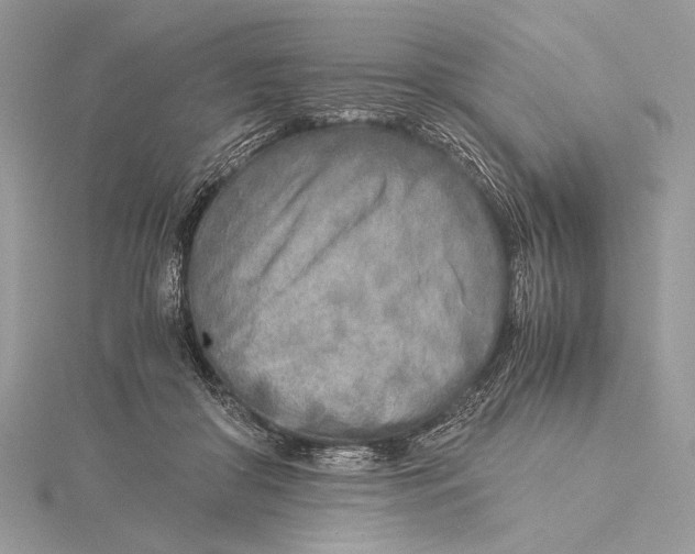 X0000115820410200912041631