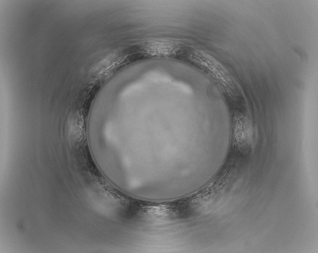 X0000115820411200912041631