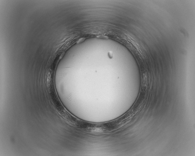 X0000115820412200912041631