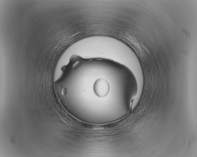 X0000115820413200912041631