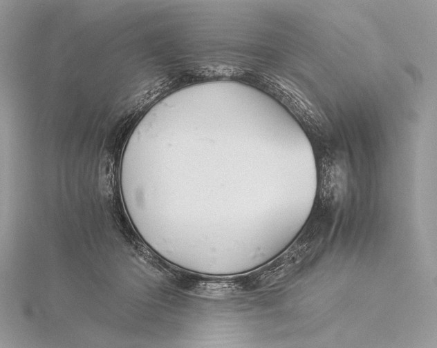 X0000115820414200912041631