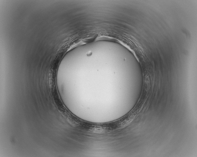 X0000115820416200912041631