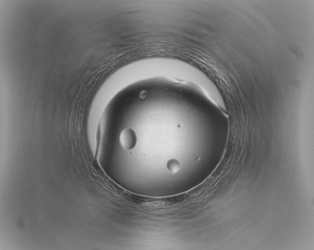 X0000115820417200912041631