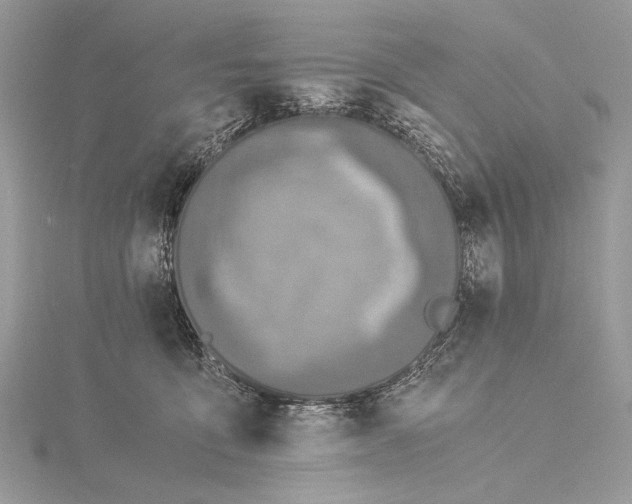 X0000115820419200912041631