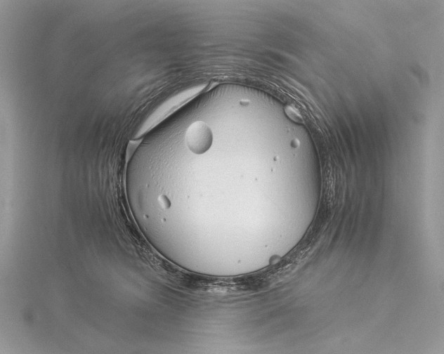 X0000115820420200912041631