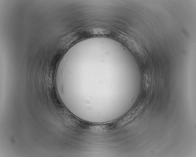 X0000115820422200912041631