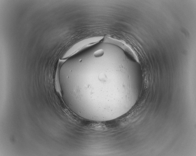 X0000115820424200912041631