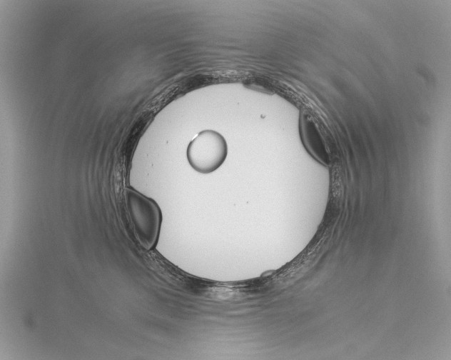 X0000115820425200912041631