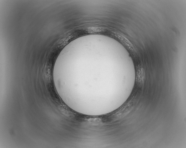 X0000115820426200912041631