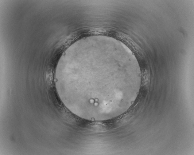 X0000115820427200912041631