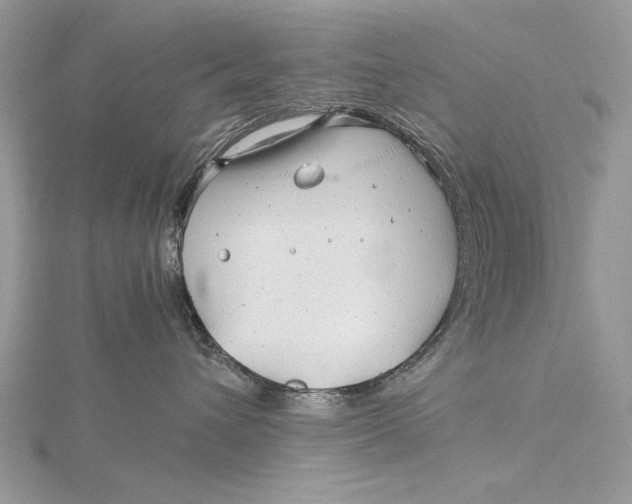 X0000115820432200912041631