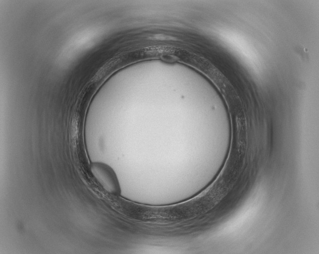 X0000115820435200912041630