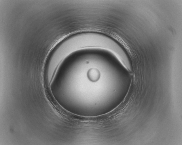 X0000115820436200912041630