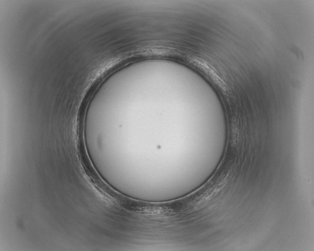 X0000115820439200912041630