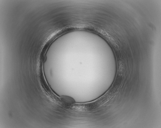 X0000115820440200912041630